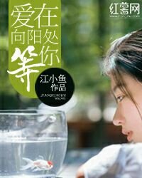 愛在向陽處,等你