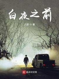 《白夜之前》