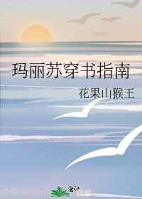 玛丽苏穿书指南